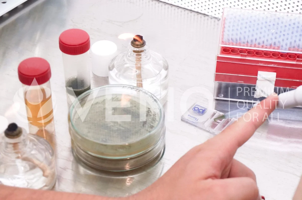 Microbial_Work_enzymes-scaled