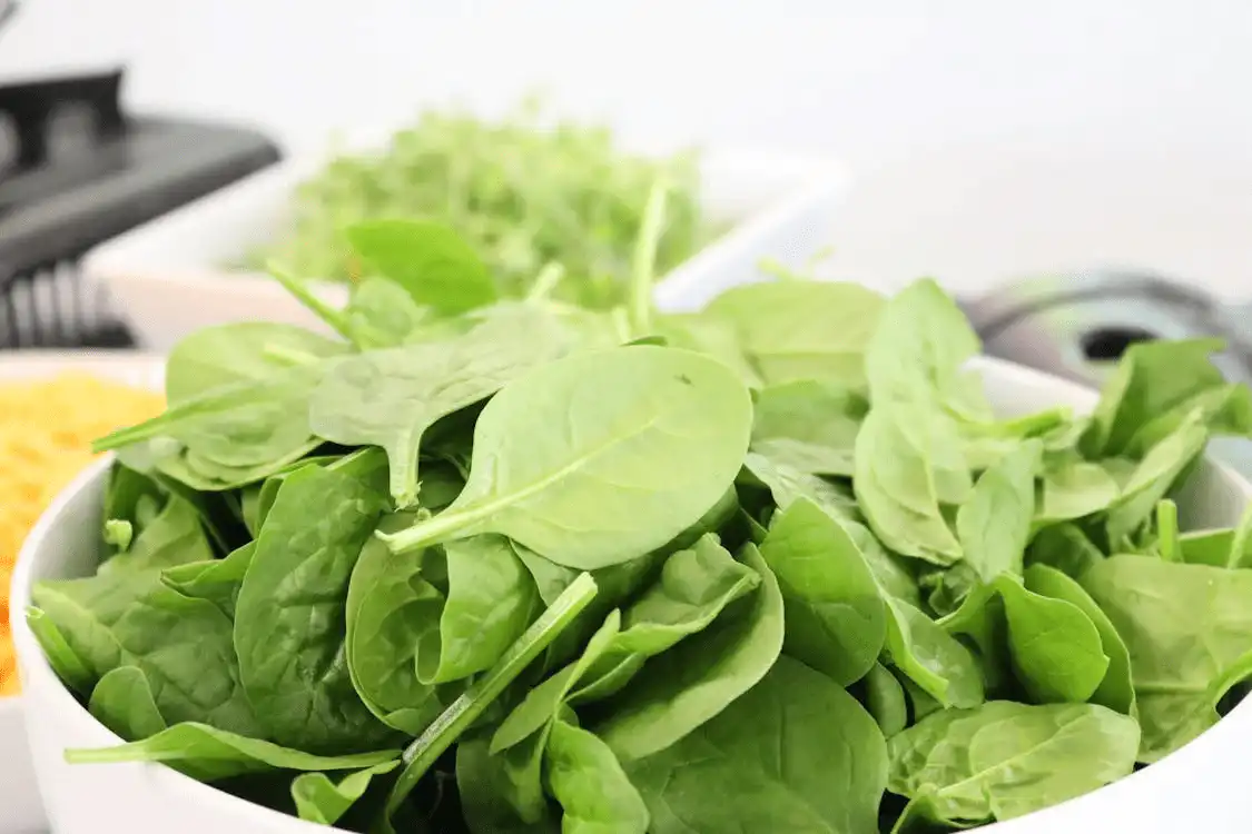 A bowl of spinach leaves