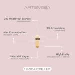 Artemisia, 60 capsules I VemoHerb<sup>®</sup> - Image 3