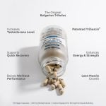 Български Трибулус (Бабини зъби), 90 капсули I VemoHerb<sup>®</sup> - Image 2