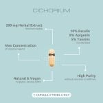 Cichorium (Chicory), 60 caps I VemoHerb<sup>®</sup> - Image 3