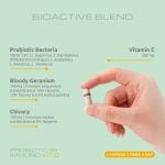 ProBiotic 8+Immuno (+Vit C), 24 caps I VemoHerb<sup>®</sup> - Image 4