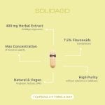 Solidago (Goldrute), 24 Kapseln I VemoHerb<sup>®</sup> – Bild 3