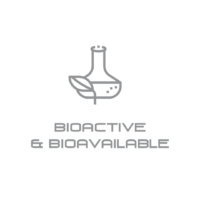Bioactive and bioavailable VemoHerb